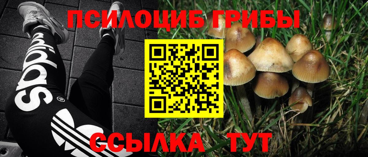 Галлюциногенные грибы мухоморы  Псилоцибиновые грибы мухоморы  купить наркотик  Вход с VPN  Абинск 