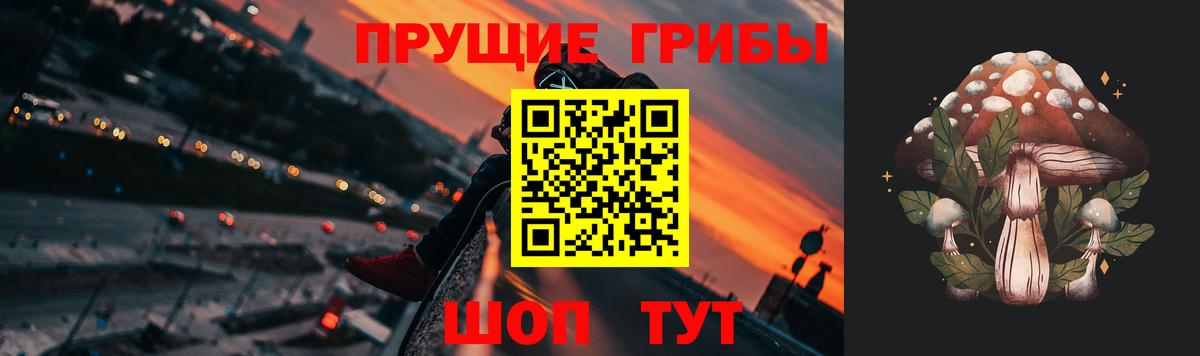 Псилоцибиновые грибы ЛСД Абинск